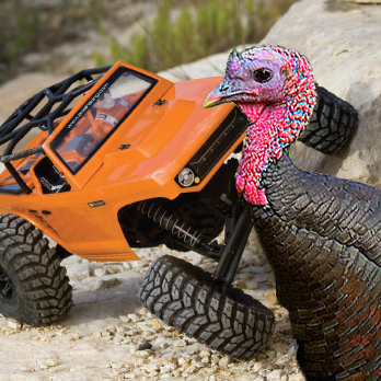 Happy Thanksgiving! Here’s a Turkey Attacking an Axial Deadbolt