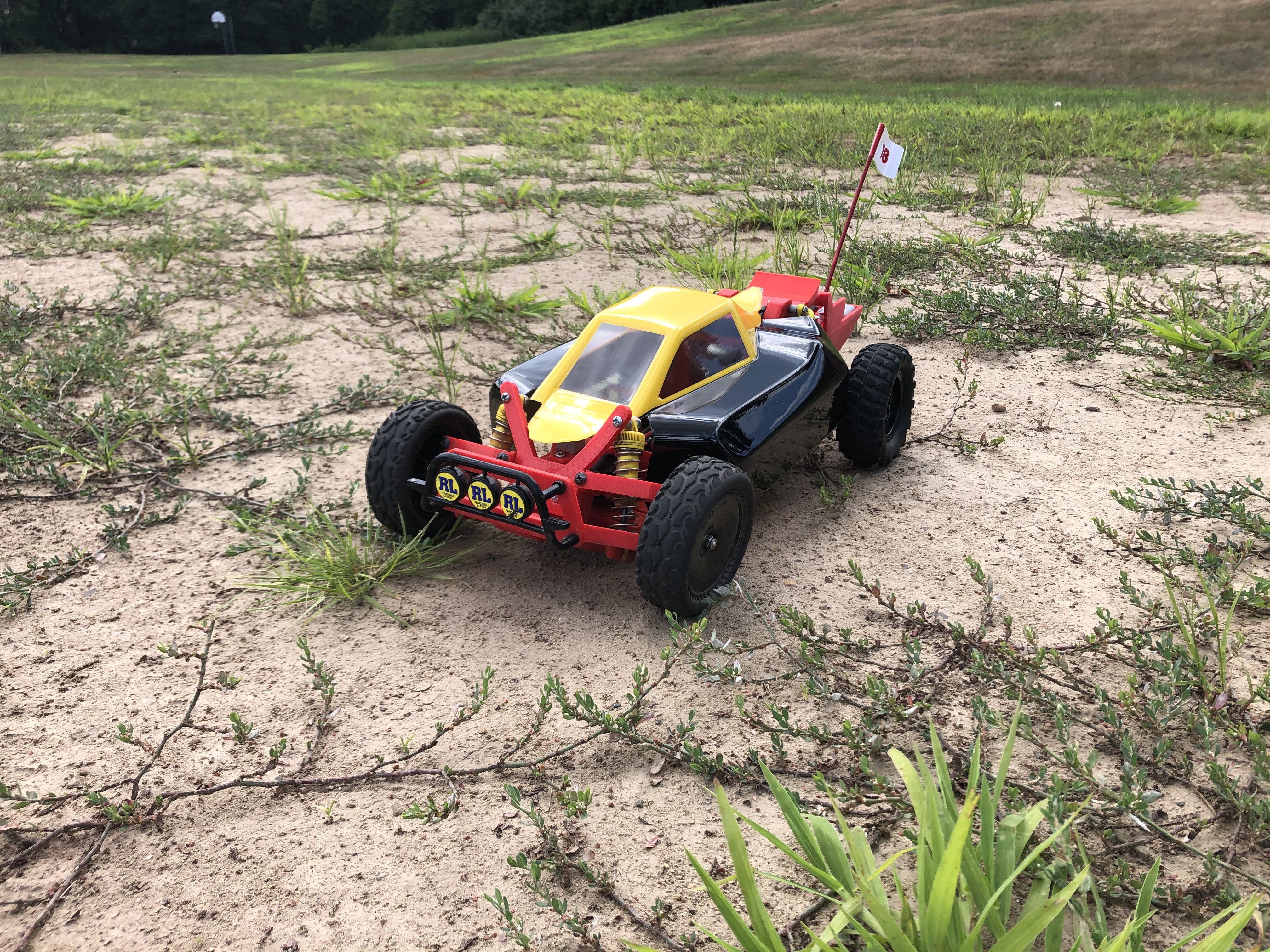 3d-printed-murder-hornet-rc-car-action